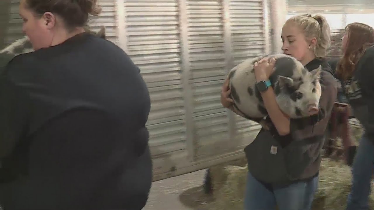 'It happened so fast': Hear from evacuees at the Oregon State Fairgrounds