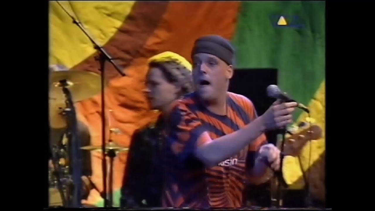 Die Fantastischen Vier feat. Selig - Zu geil für diese Welt