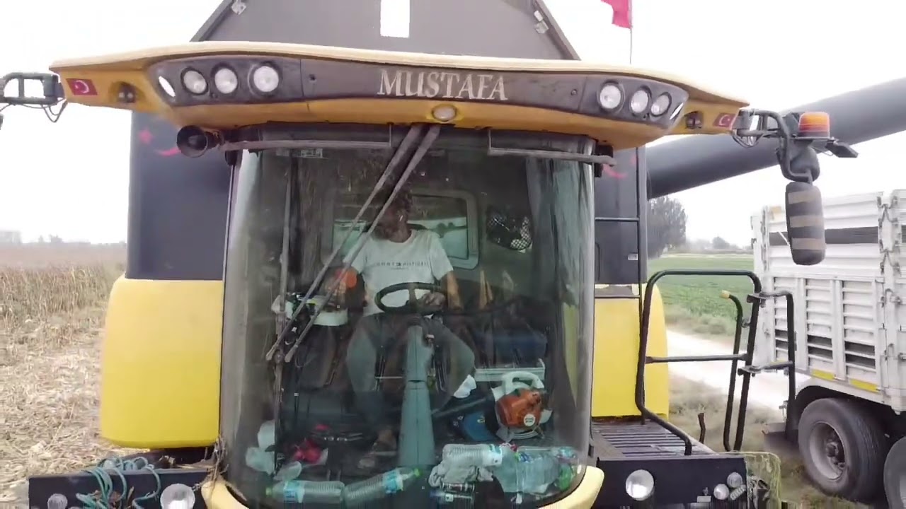 2025 Adana Mısır Hasatı