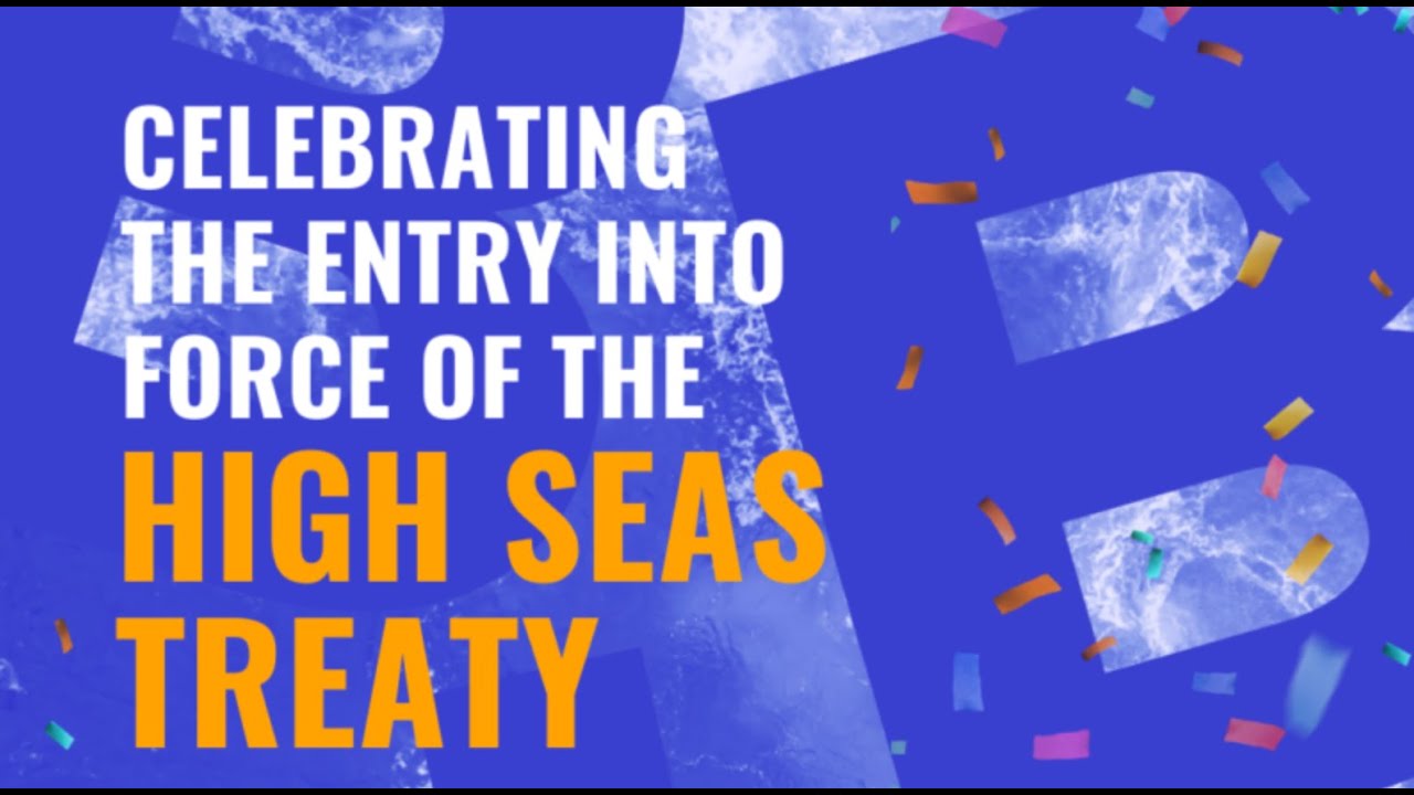 Celebrating the entry into force of the High Seas Treaty