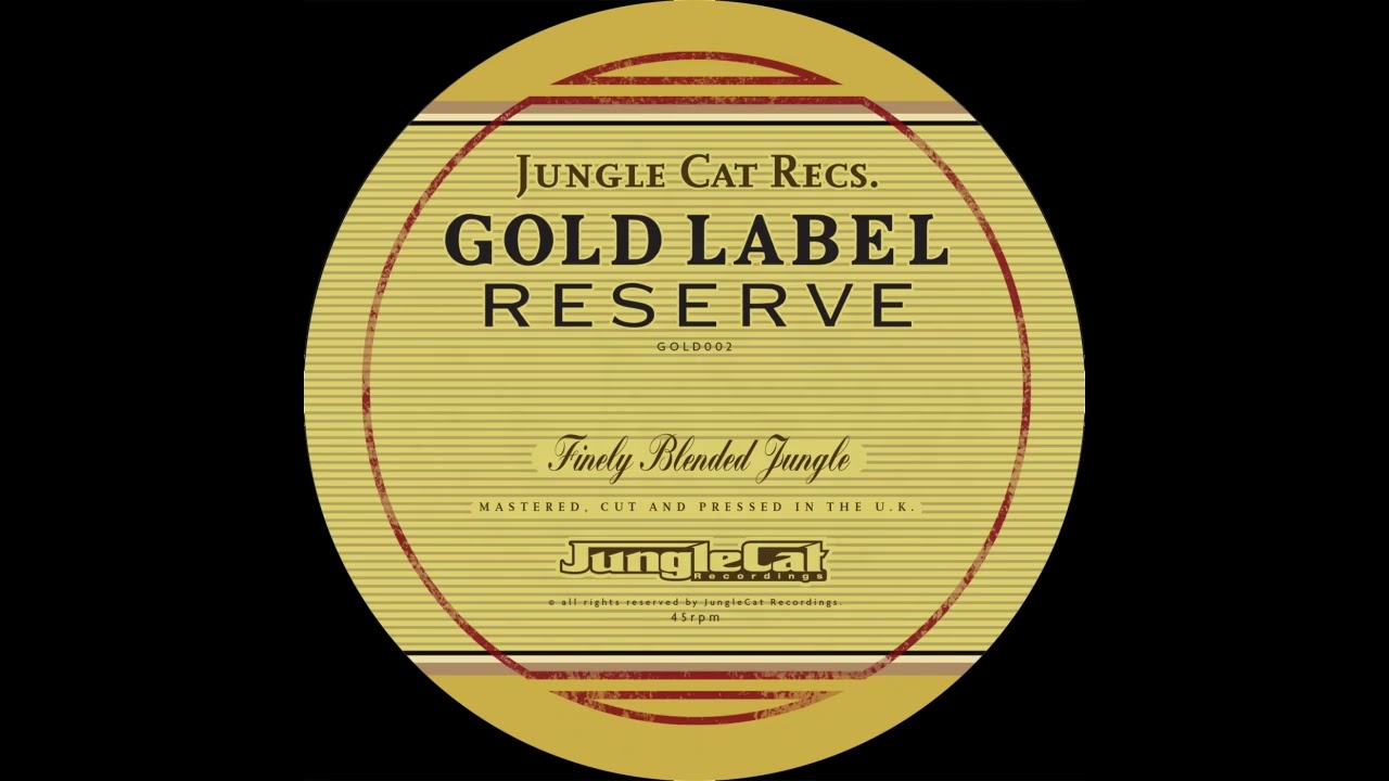 Dub-Liner & Prizm - Bewildered (GOLD002 - 12