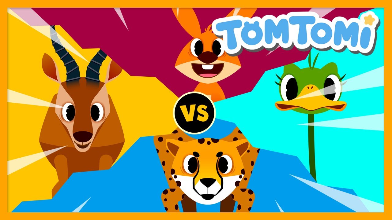 Zoom Zoom Animal Race |  Animal Songs | Who is the Fastest Animal? | TOMTOMI Songs for Kids