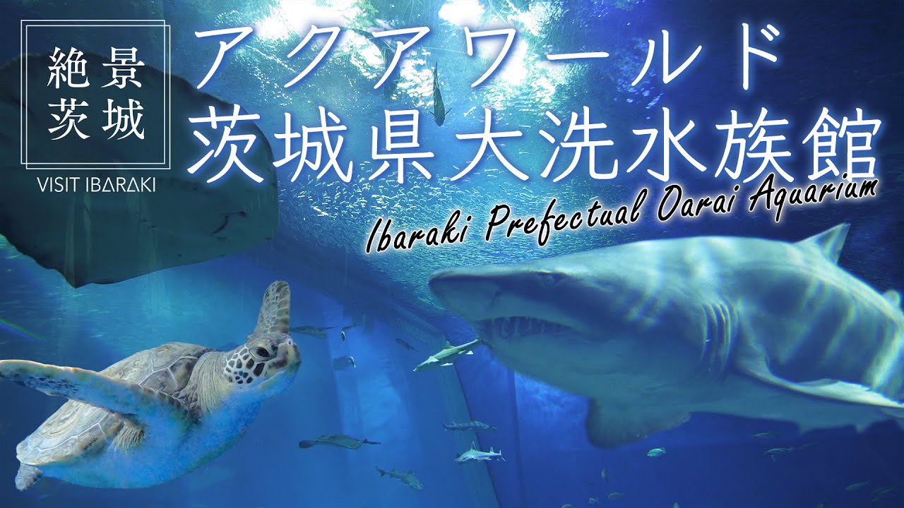 【絶景茨城】アクアワールド 茨城県大洗水族館｜VISIT IBARAKI,JAPAN