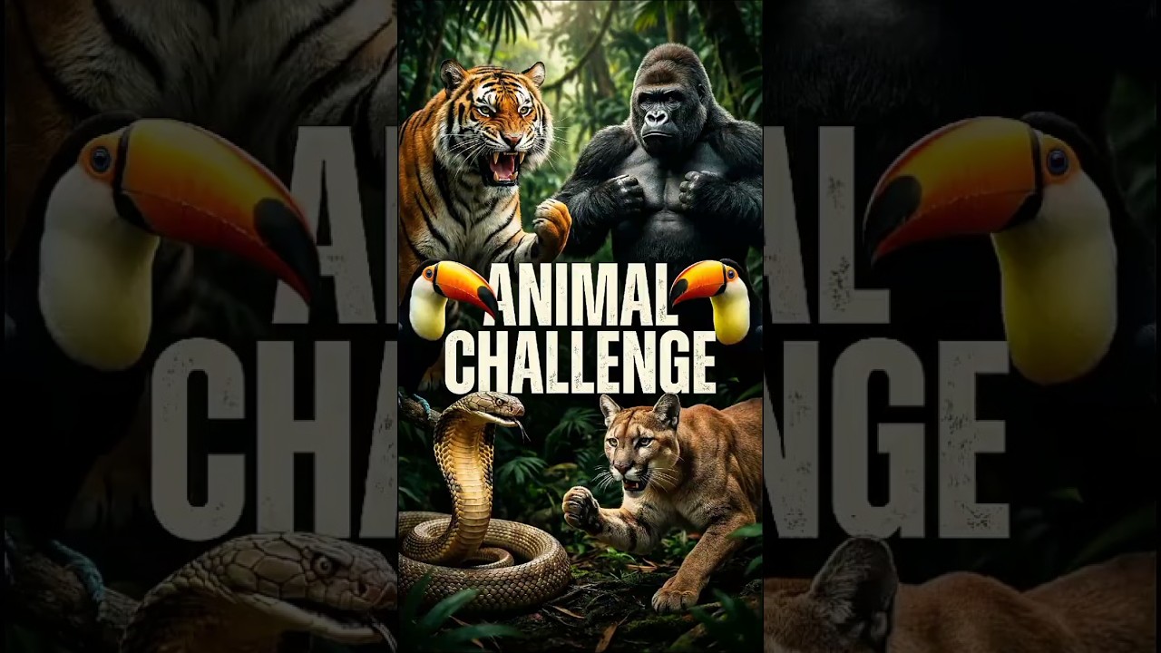 Challenge Animal: ¿Quién es el Rey bajo el agua? 🌊