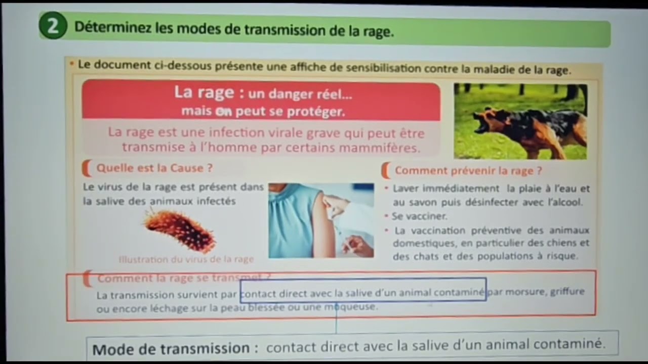 Tâche 1:déterminer les causes, les modes de transmission et les moyens de prévention de qlq maladies