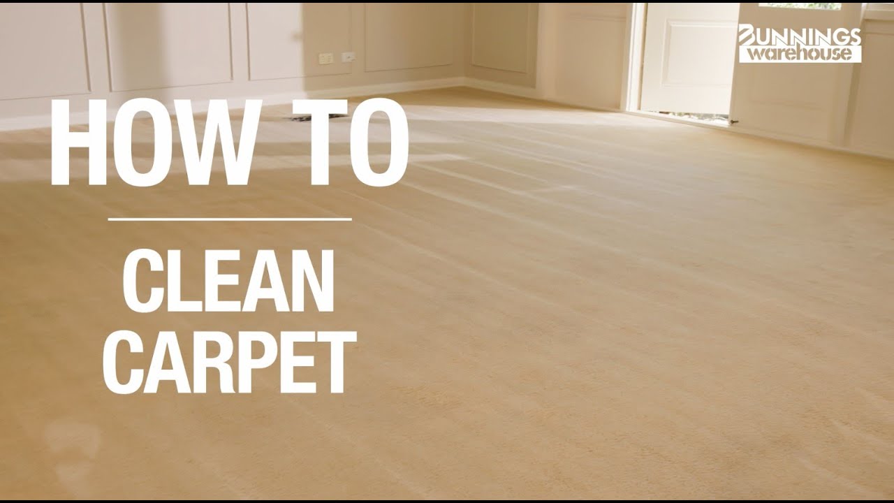 How To Clean Carpet - Bunnings Warehouse