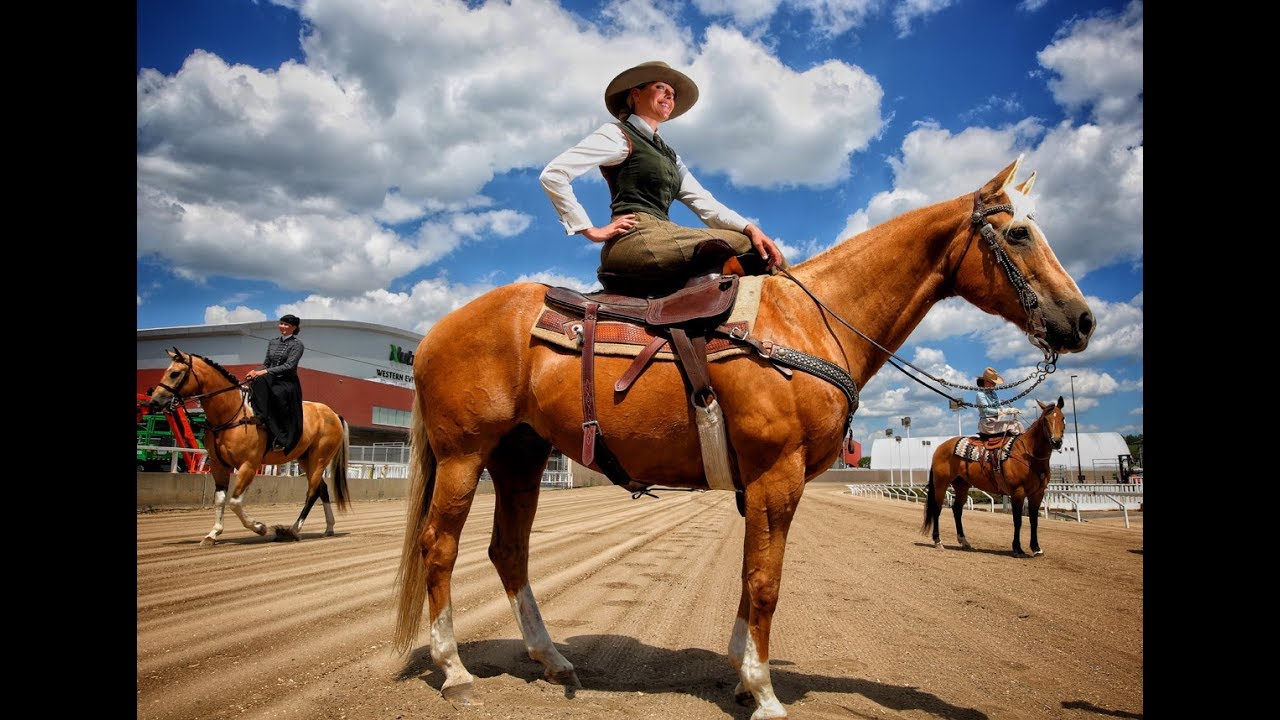 Women of the West: Sidesaddle Racing comes to the Calgary Stampede