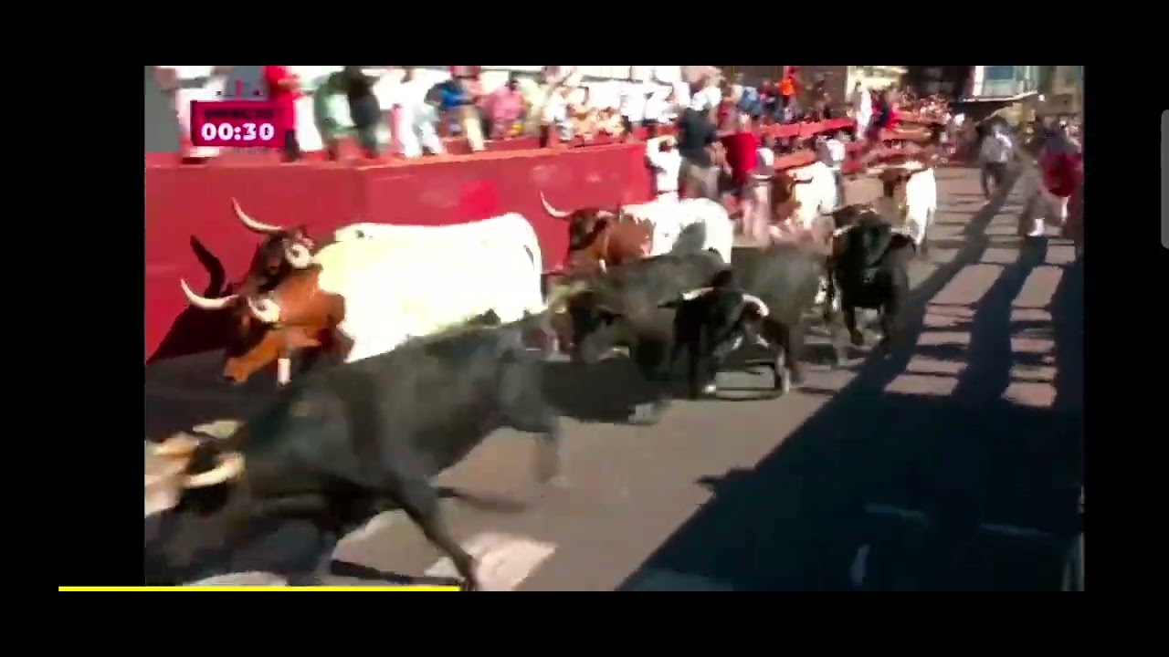 QUINTO ENCIERRO DE SANSE 2025 - YO CORRIENDO .