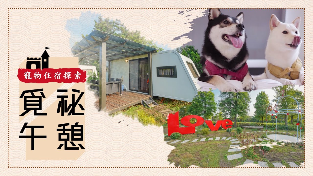 寵物住宿探索-小人國露營車~覓秘午憩ARCADIA #寵物友善住宿 #doge #puppy #shibainu #寵物 #柴犬 #白柴 #豆柴 #dog #dogs #doglover