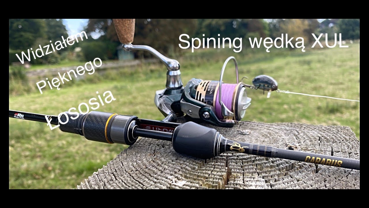 Wedkuje Carabusem od Abu Garcia, wędka xul do 3,5g  a koło mnie pływa ogromny łosoś.Vlog 72