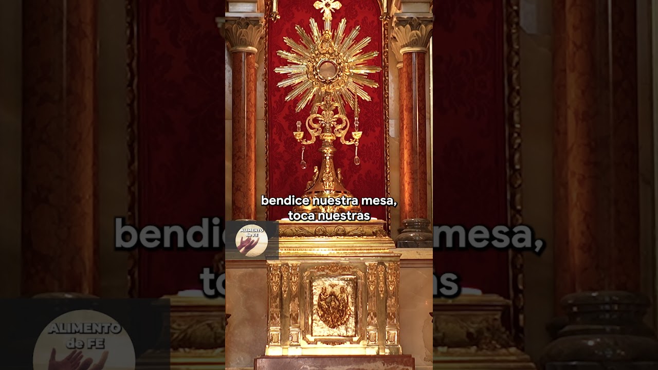 ✨ Dios, Hoy Quiero Confiar en Tu Providencia | Oración de Confianza 