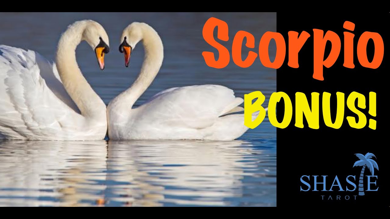 EXPLOSION of emotion! ❤️ TRUE and deep #Scorpio tarot love reading horoscope twin flame 🔥 Decisions