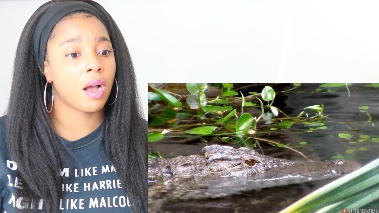 THE BIGGEST ANIMALS IN THE WORLD | Reaction
