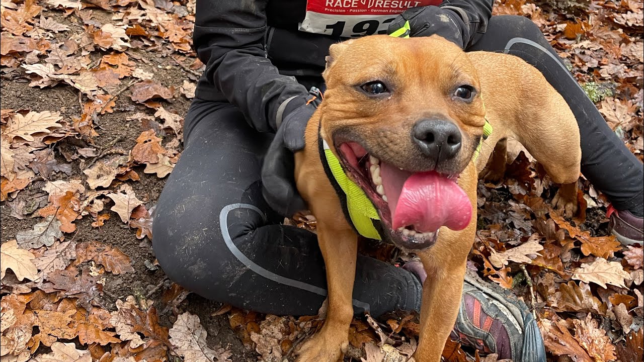 Canicross des Impressionnistes - Premier concours de Cani-vtt !!