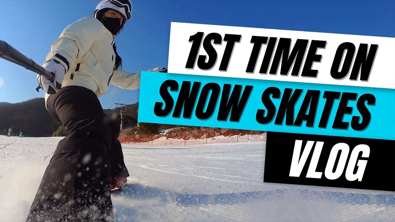 First Time on Sled Dogs Snowskates | Vlog