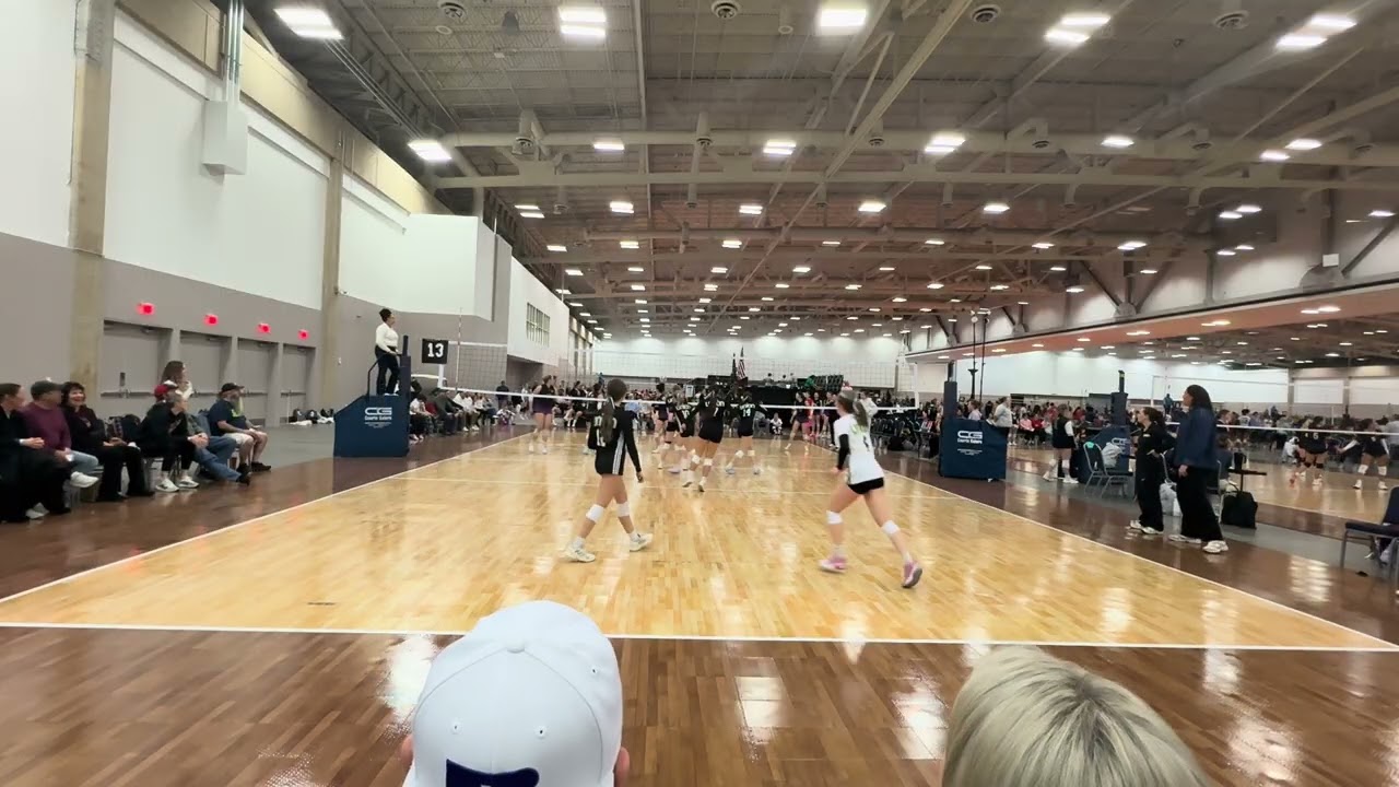 UA Bluegrass D2 M3 S1 - Gold