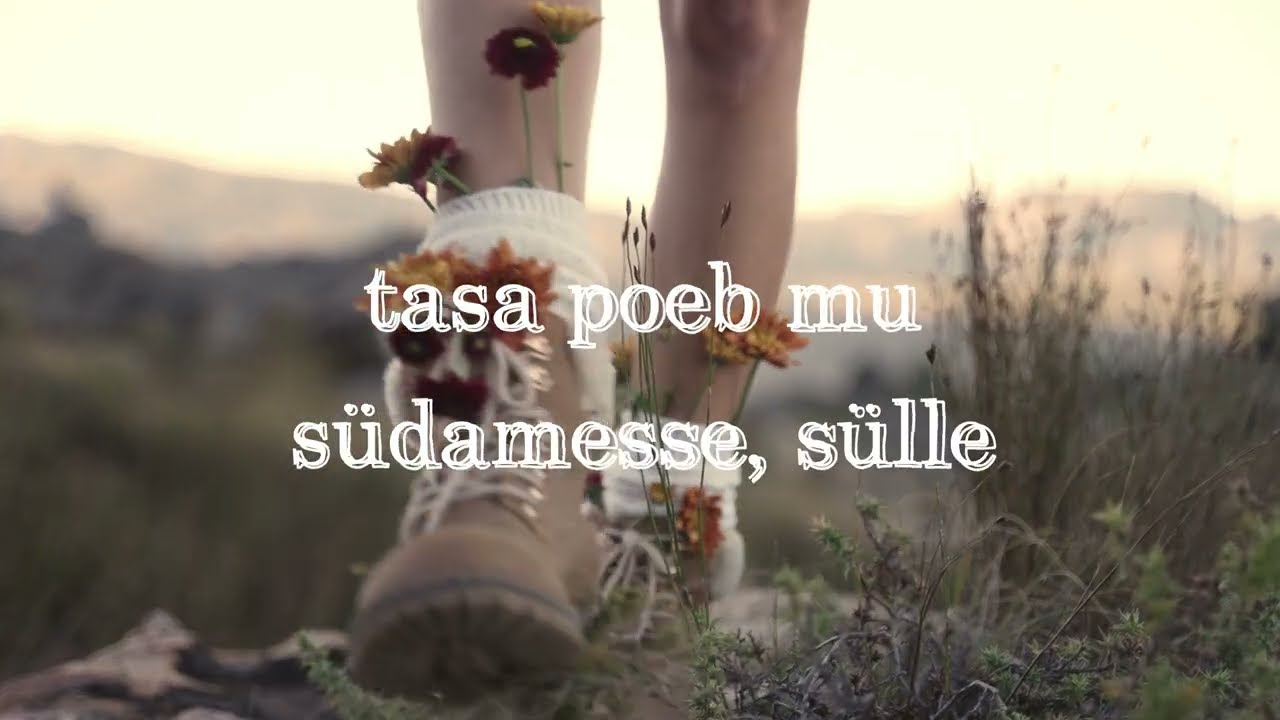 Merike Susi - Armastuse aastaaeg