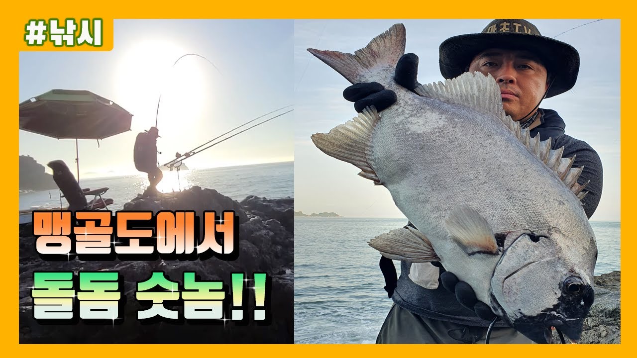 맹골도 돌돔낚시 숫놈 잡다! rock bream Fishing(イシダイ)