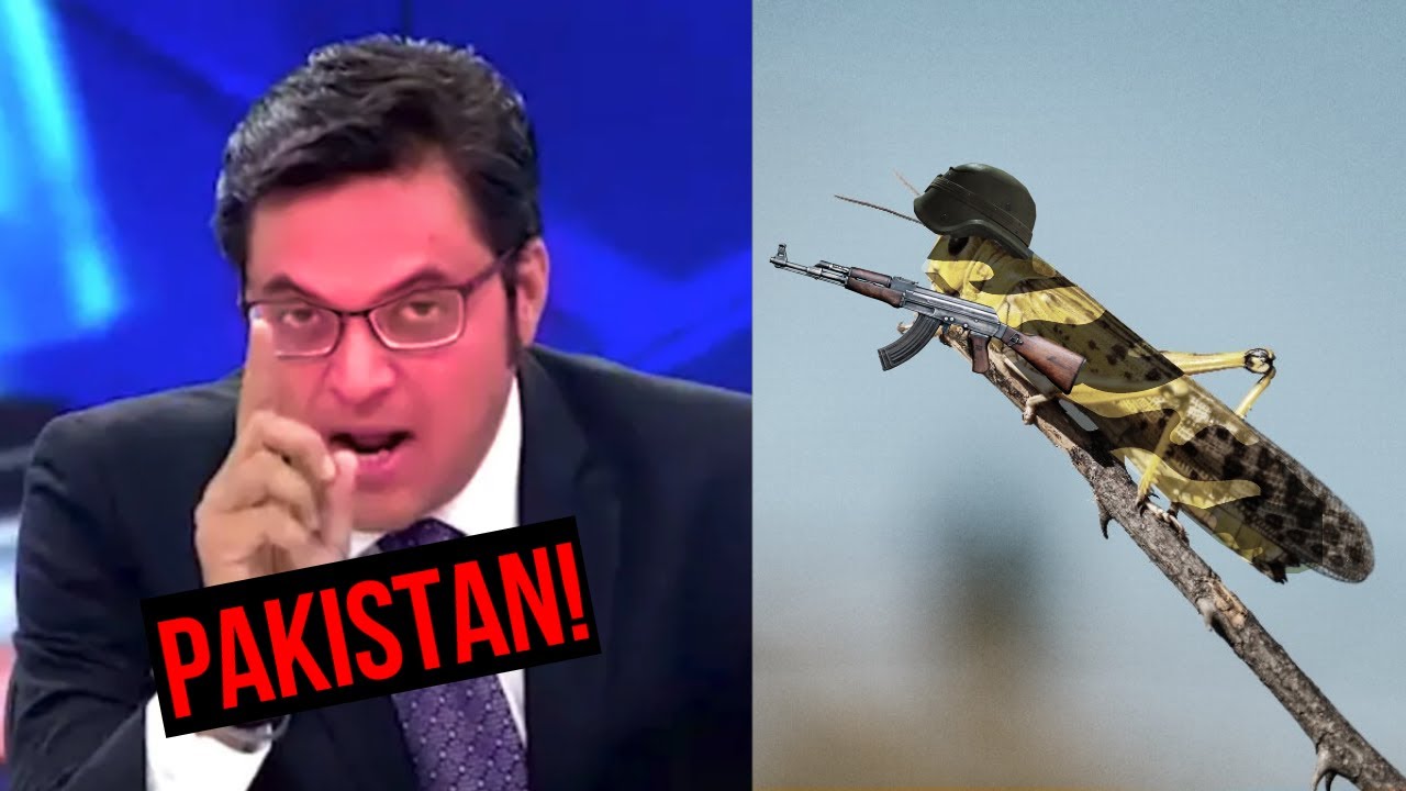 INDIAN MEDIA BLAMES PAKISTAN FOR EVIL LOCUSTS