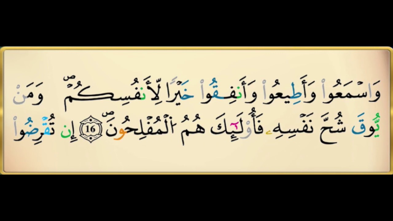 سورة التغابن برواية ورش عن نافع  مكررة 10 مرات بصوت القزابري