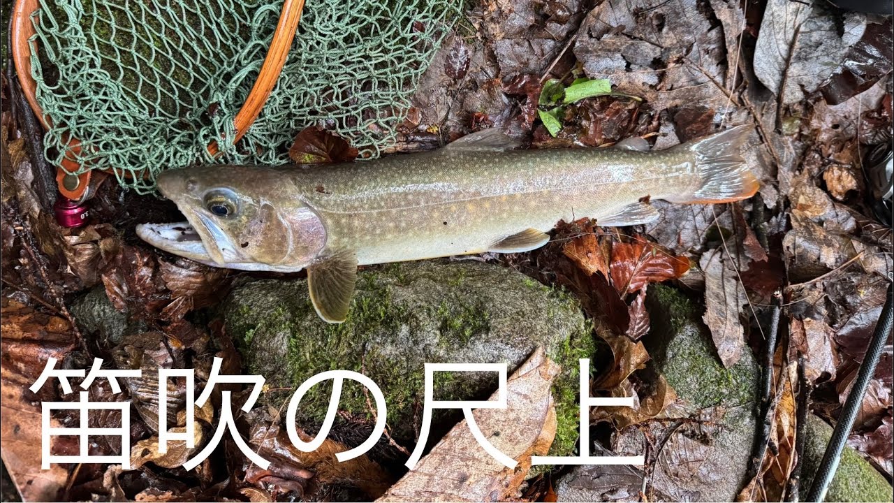 山梨県　【渓流釣り】
