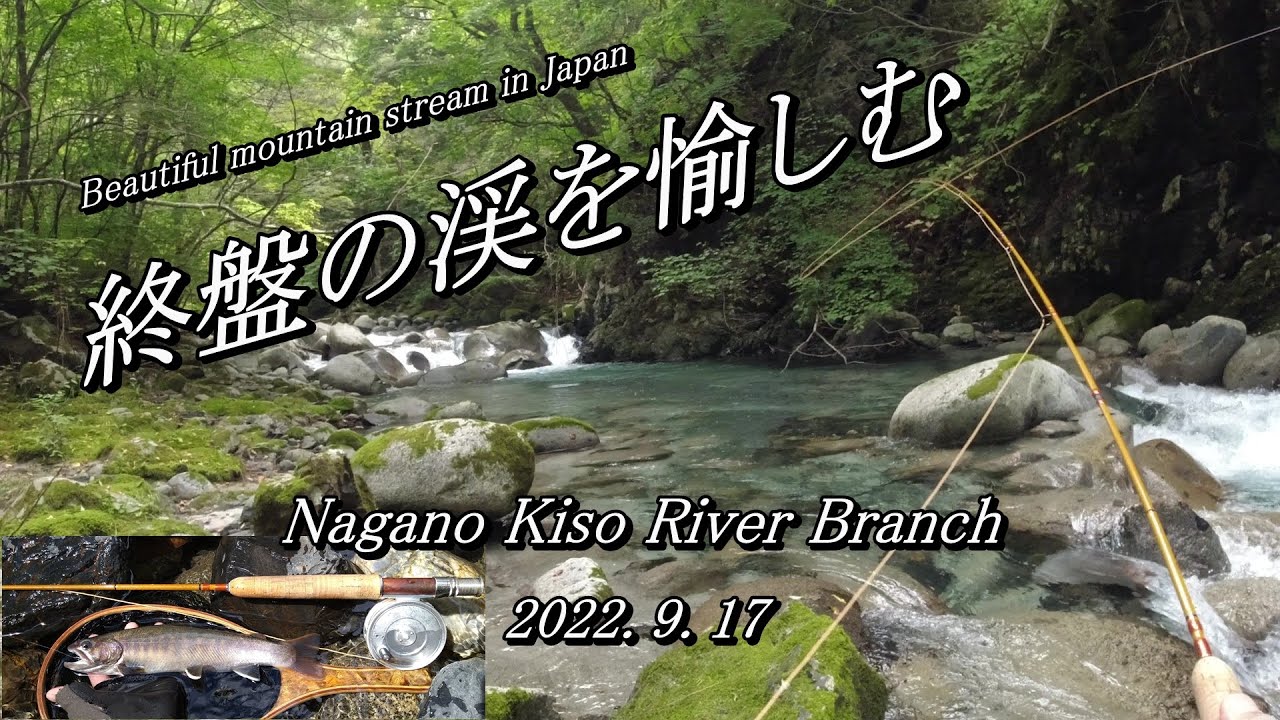木曽川漁協に手抜きなし！？  難しくも楽しい終盤のイワナ釣り～ (^^♪ 【 フライフィッシング 渓流釣り 長野県 木曽川 】