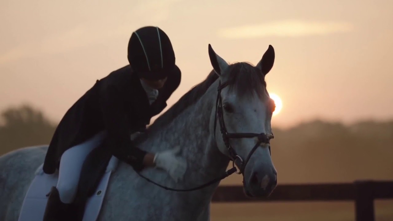 High Hopes|| equine music video
