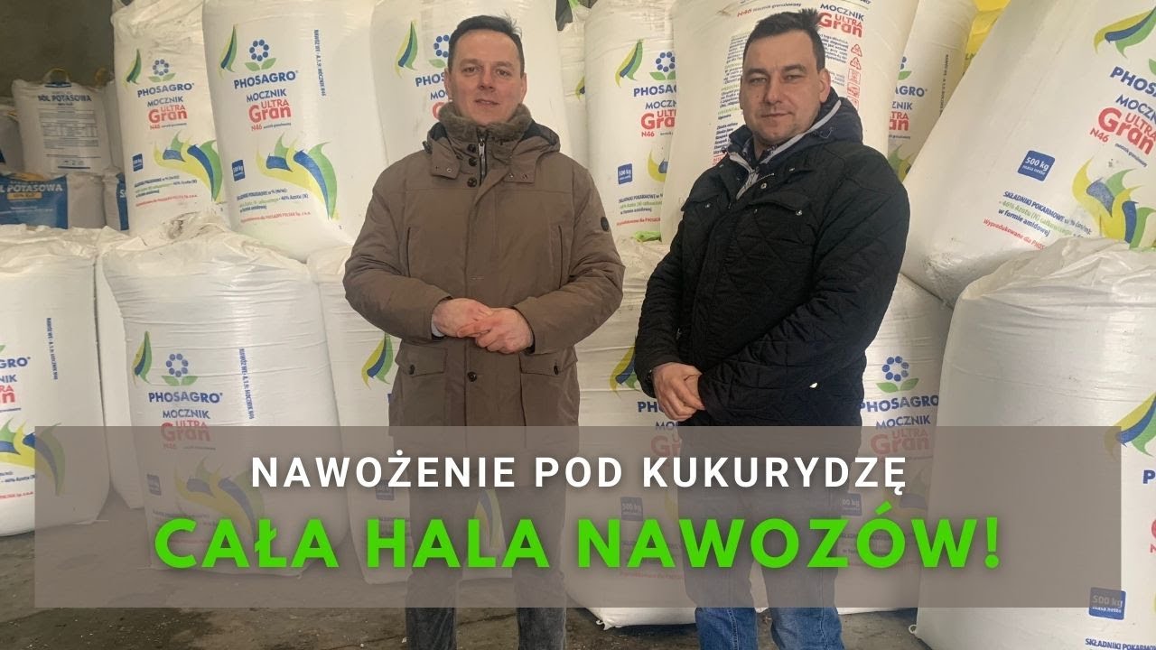 Nawozy pod kukurydzę kupione - gospodarstwo Sławkowo 1000 ha