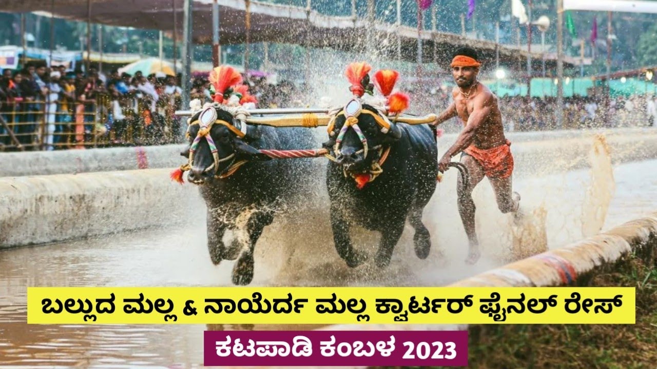 Balluda Malla & Naverda Malla Quarter Final Race | Katapadi Beedu Kambala 2023 | Namma Kambala