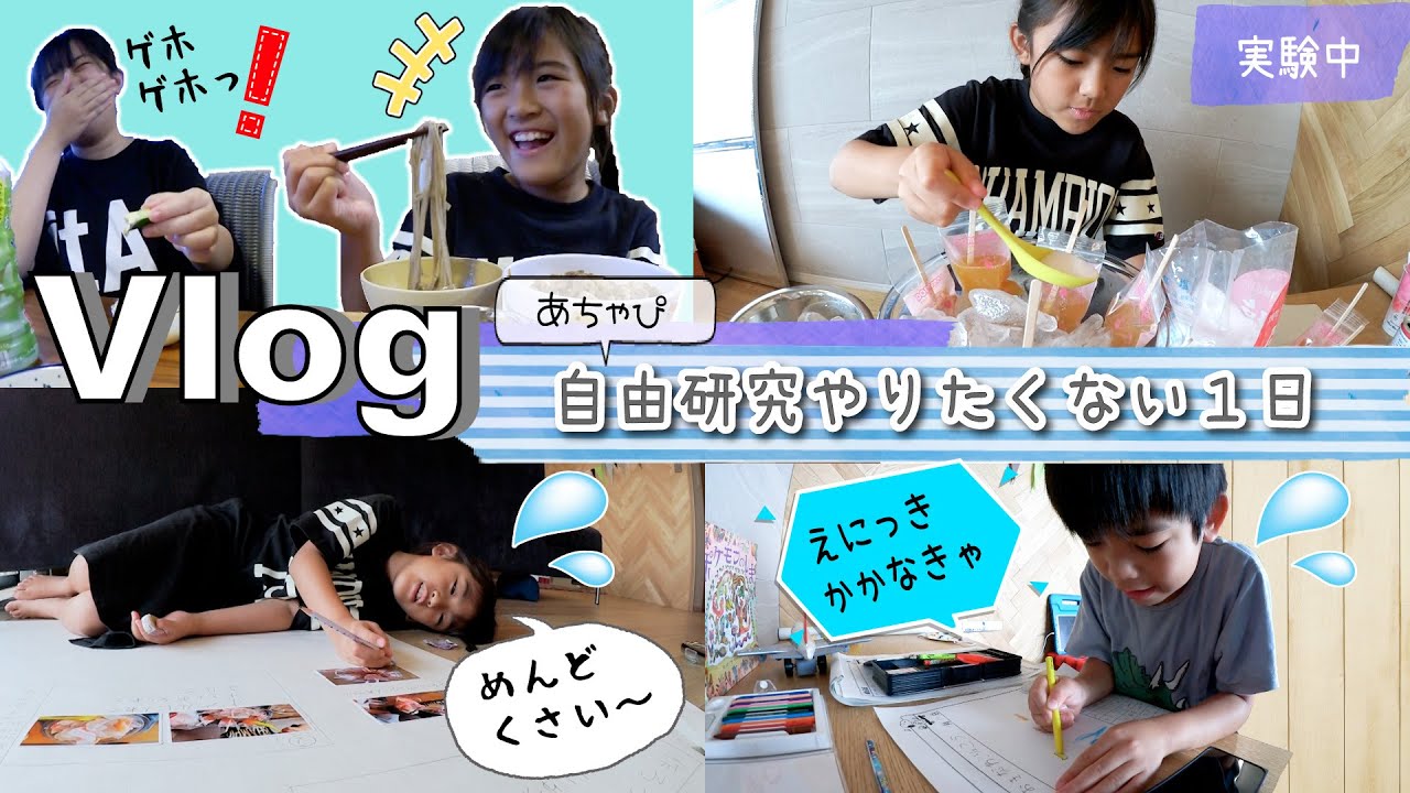 ★Vlog★やりたくないよ〜！あちゃぴの自由研究の1日