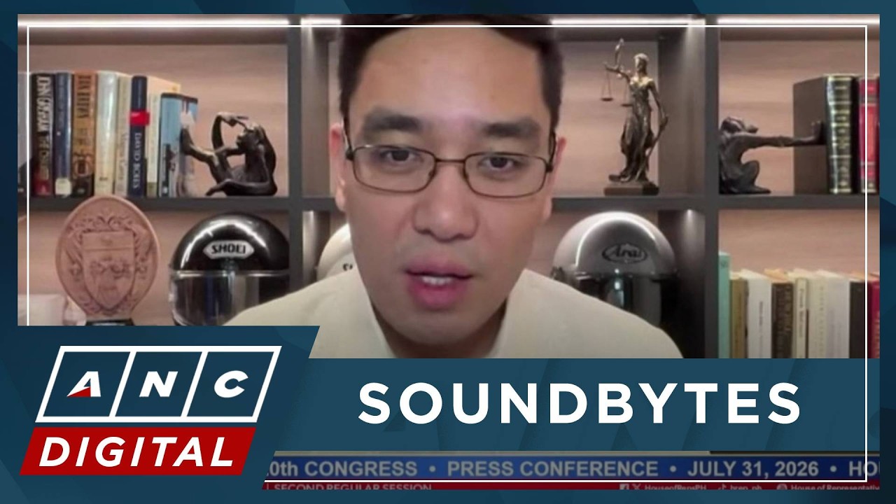 Tolosa: COA auditors, other witnesses to determine if VP confidential funds properly used | ANC