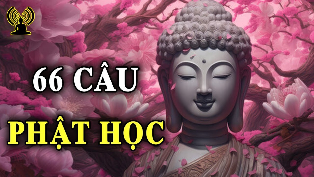 66 C&acirc;u Phật học cho cuộc sống - L&ograve;ng thảnh thơi tr&aacute;nh được nhiều điều sai lầm