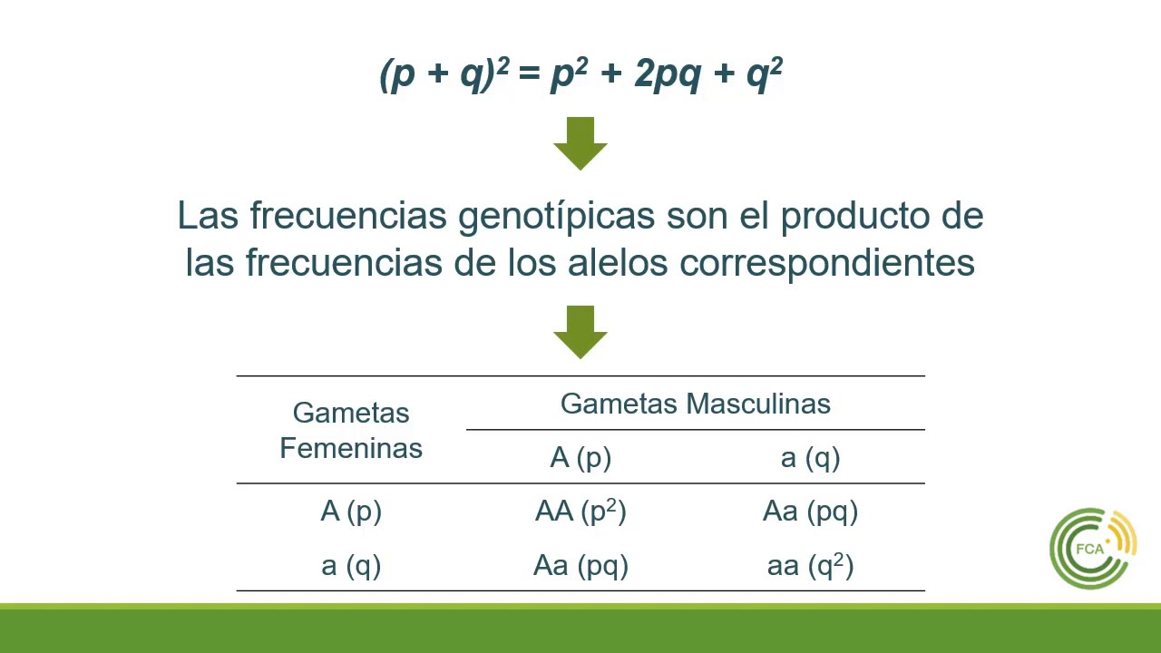 Introducción a la Genética de Poblaciones