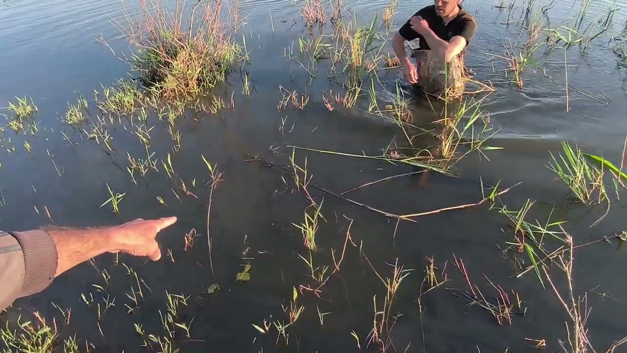 17 апреля 2024 г.