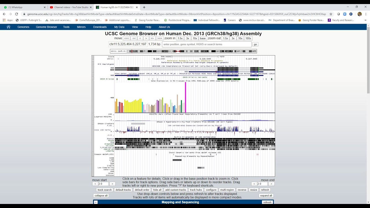 Genomics: Introduction to UCSC genome browser