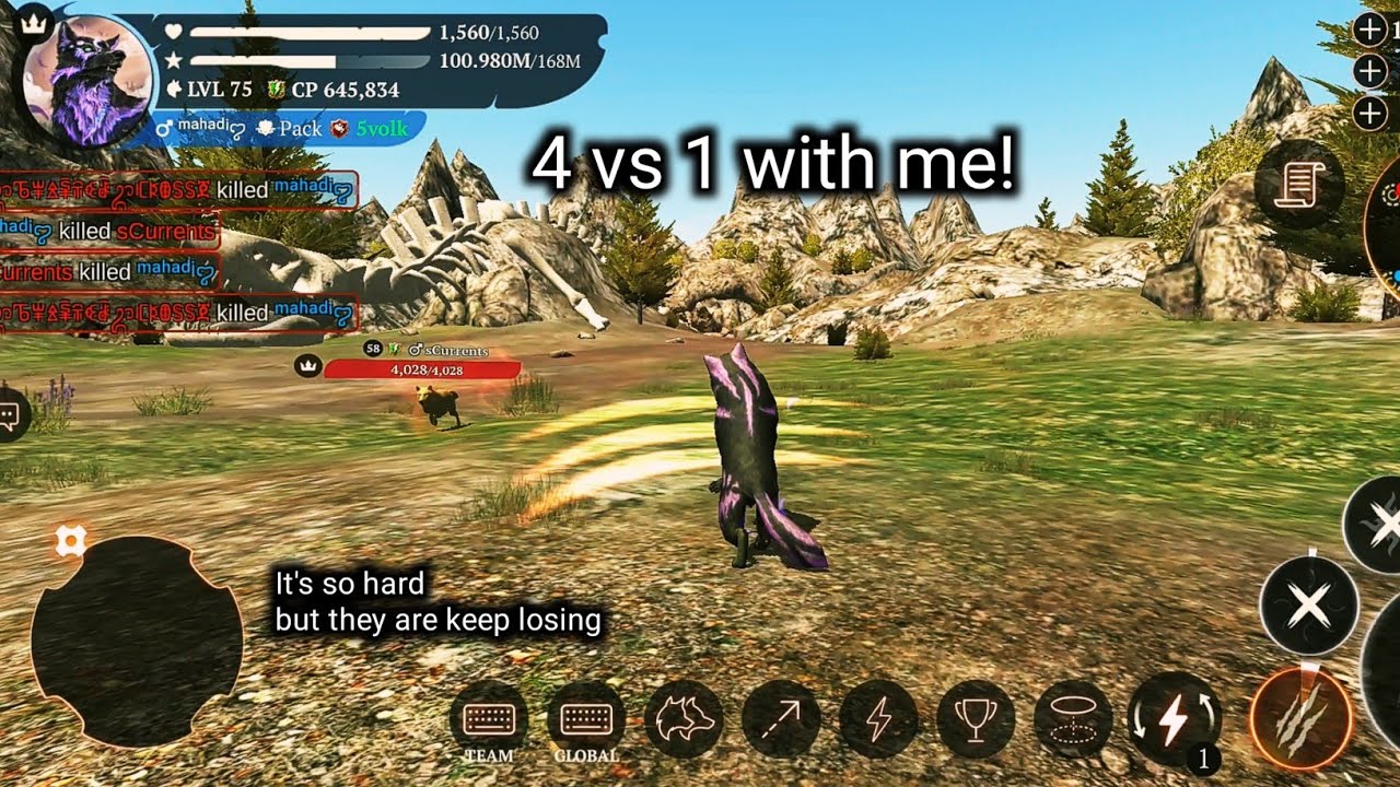 The wolf- 4 vs 1 war with me!!  Tried to denned me!...
