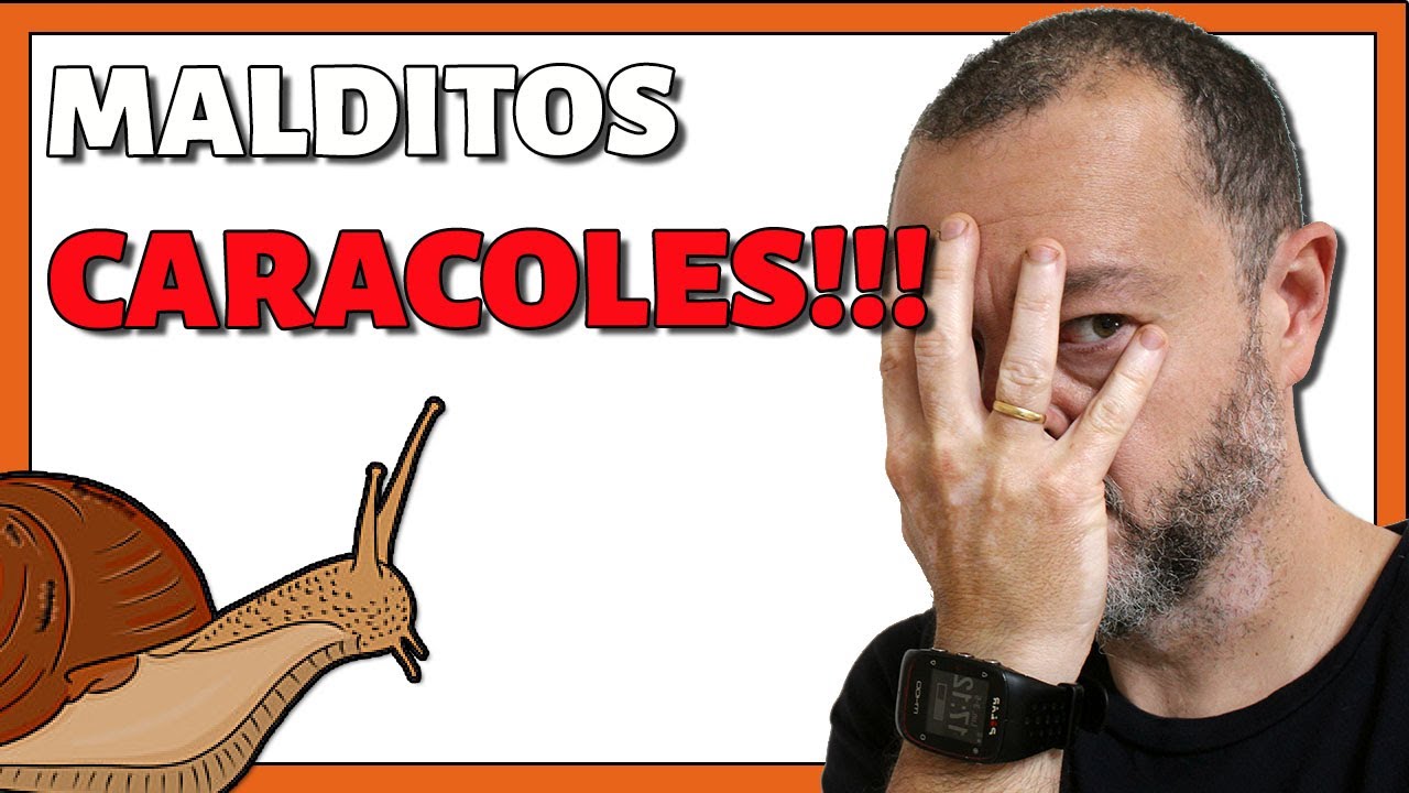 🤬 Cansado de los CARACOLES...▶ Te ENSEÑO Como ACABAR con ellos PARA SIEMPRE Método Definitivo ‼