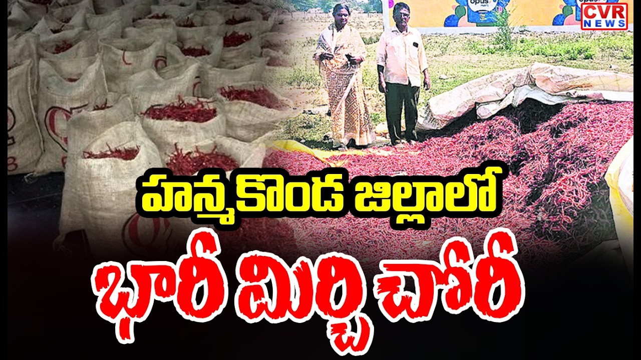 500kgs Of Chilli Stolen In Parakala, Hanamkonda District |పరకాలలో 5 క్వింటాళ్ల మిర్చి చోరీ |CVR News