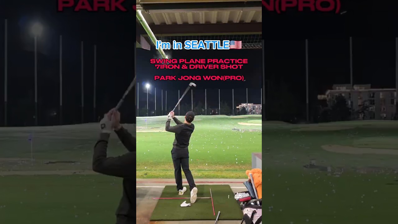 SWING PLANE PRACTICE(박종원PRO) / ARF GOLF academy & studio