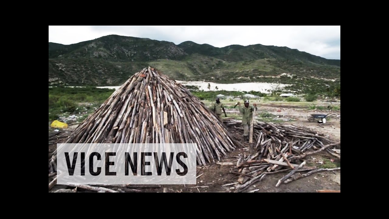 Black-Market Charcoal Trade: The Lake That Burned Down A Forest (Part 3)