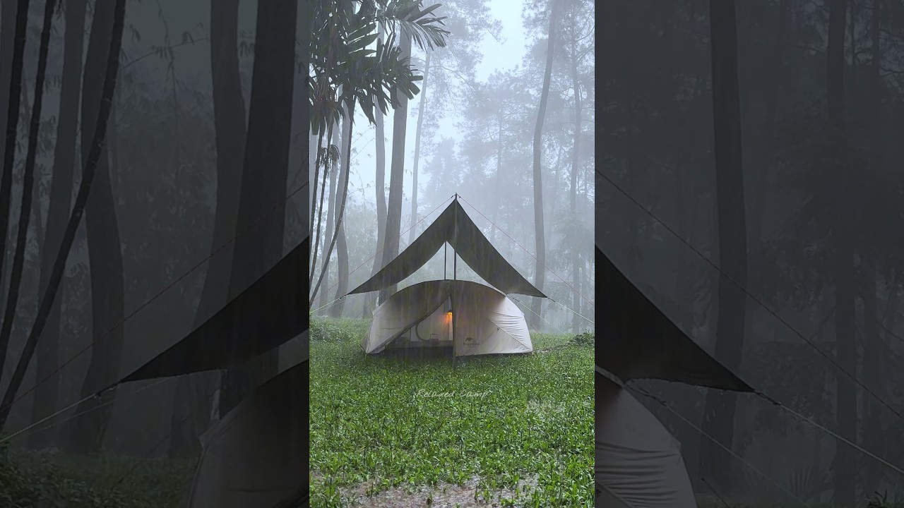 Brewing Hot Coffee while Heavy Rain! Solo camping in heavy rain #shorts #heavyraincamping