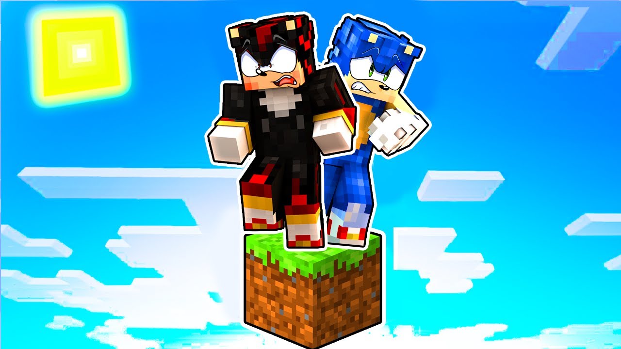 ONE BLOCK SKYBLOCK with SONIC and SHADOW in Minecraft!