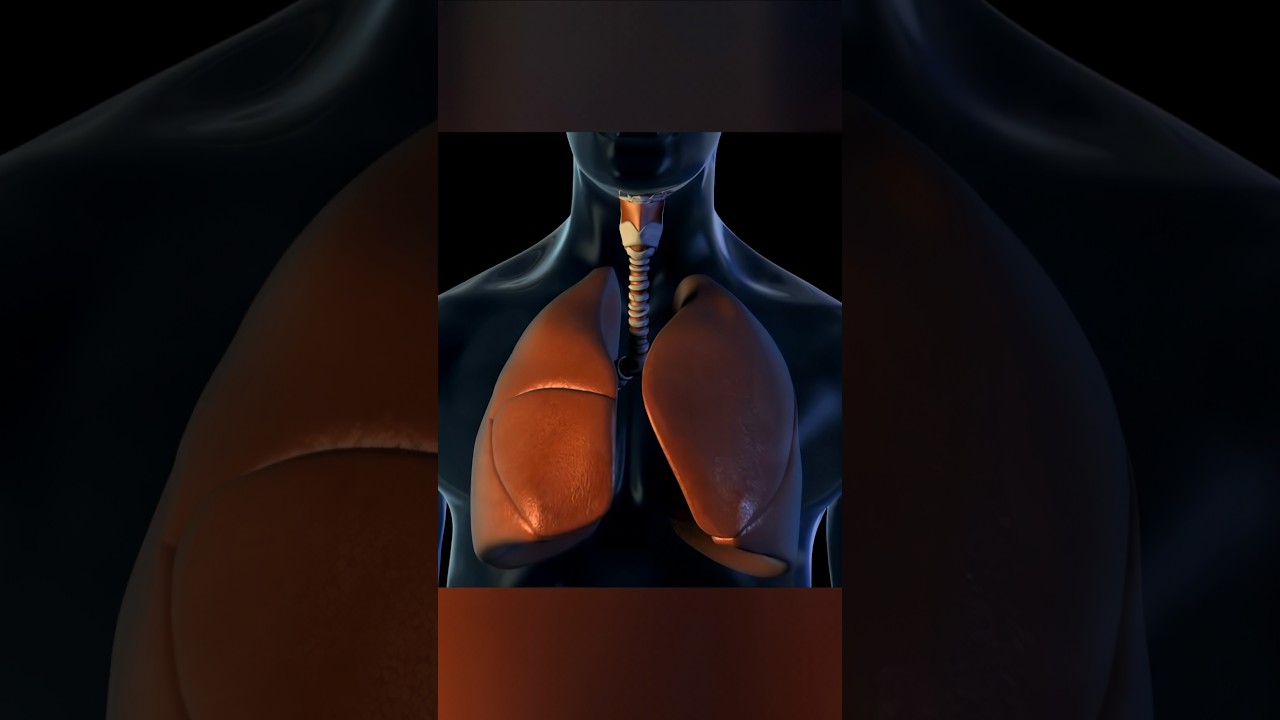 Железное легкое ОБЪЯСНЕННО