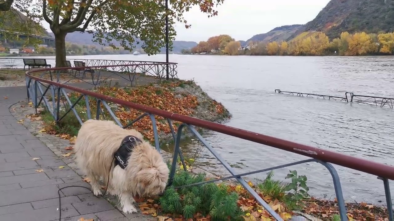 31. Oktober 2025