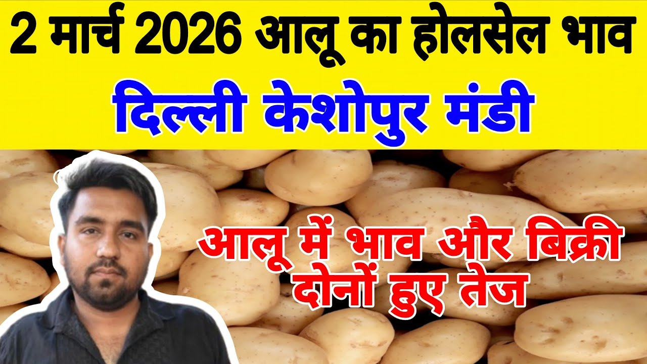 दिल्ली आलू का भाव | 🥔potato market price today | Today Potato rate | 2 March 26 #potato #Aalukebhav