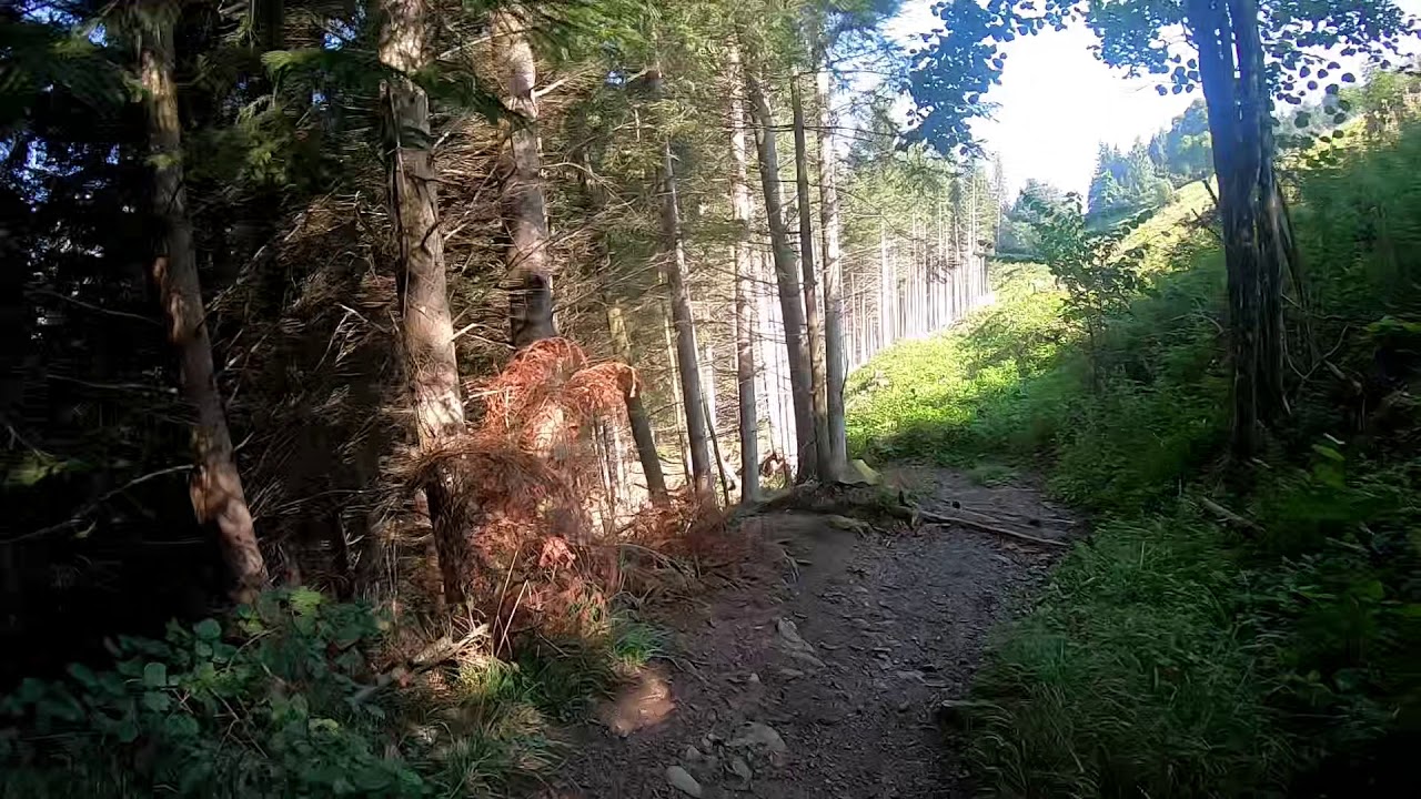 MTB JUST 4 FUN - Die Königin Der Berge - Rigi