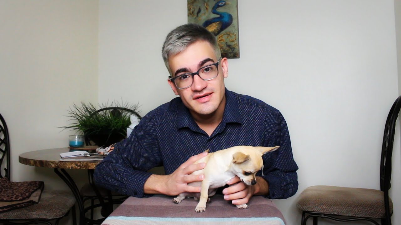 SO CUTE! Veterinary Check Up on Dog & Bird ROLEPLAY (ASMR)