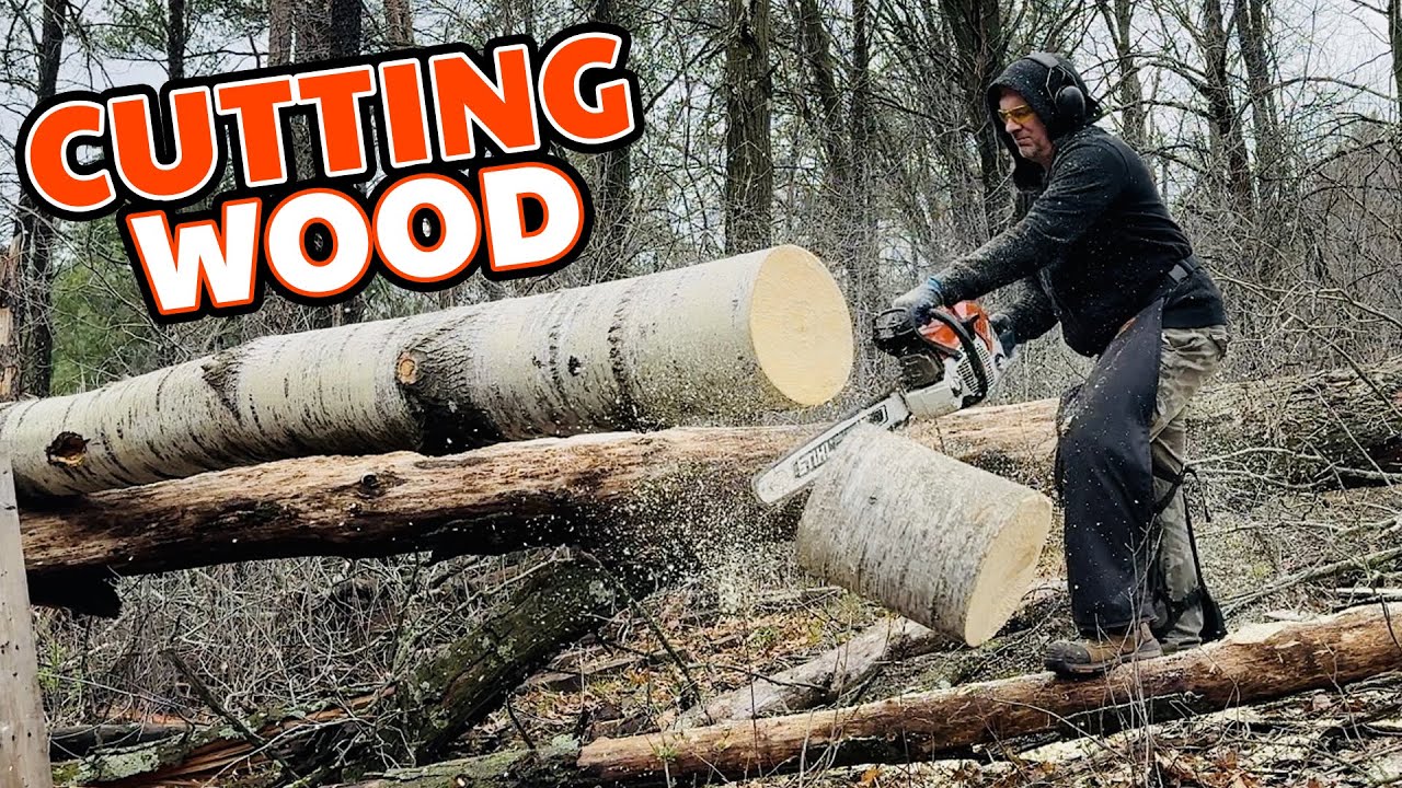 Making Chips Fly & Mastering Firewood Cutting - Adventures in the Woodyard