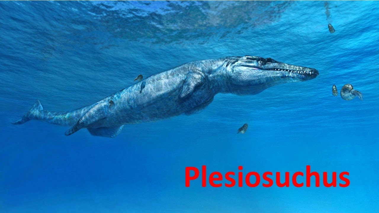 Plesiosuchus