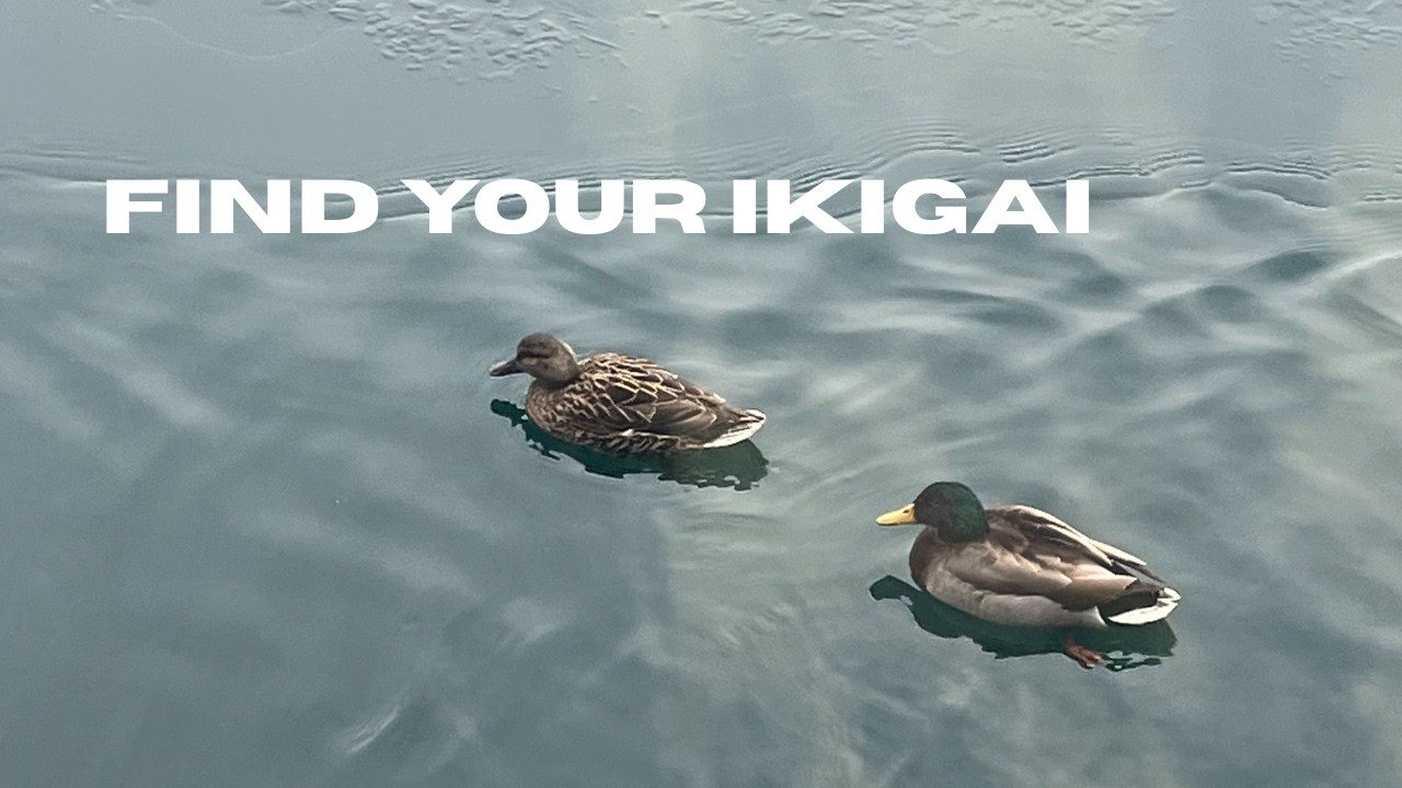 FIND YOUR IKIGAI